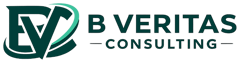 B Veritas Consulting